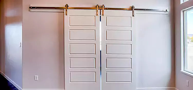 Glass Barn Door with Installation Hardware Kit Rio Rico