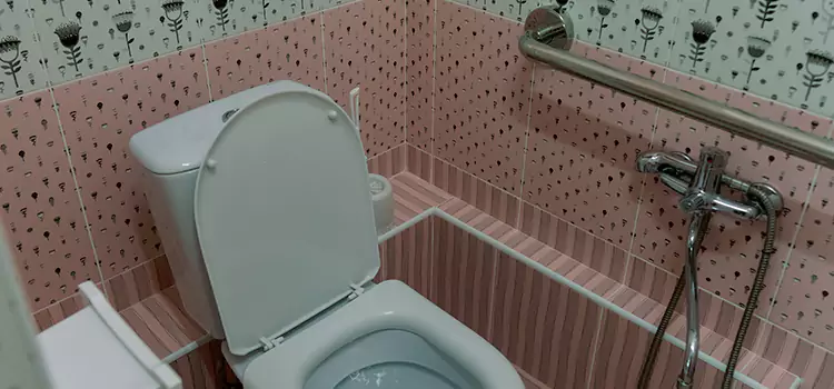Meeting Diverse Needs With Accessible Restroom Solutions in Rio Rico, AZ