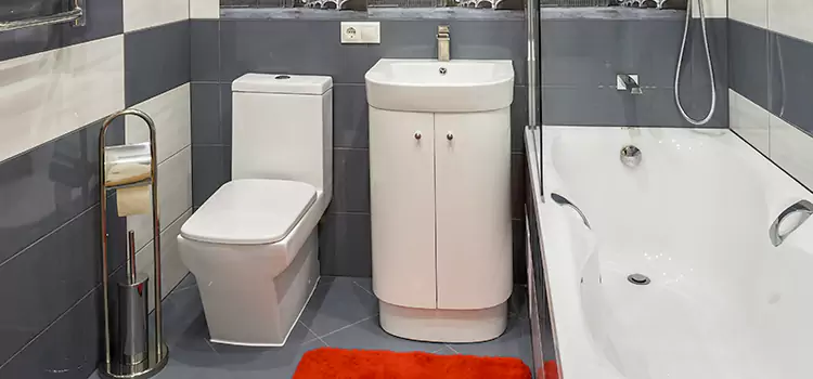 Hansgrohe Shaving Mirror Rio Rico